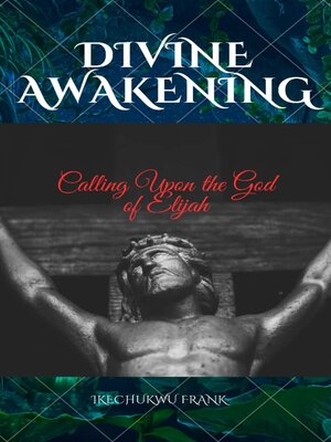 cover image of DIVINE AWAKENING